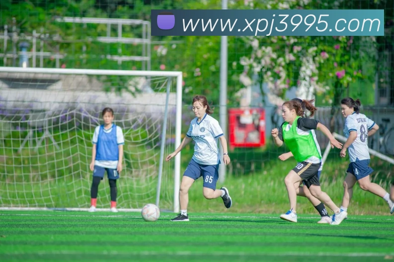 辅助工具 辅助工具